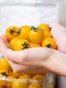 【黄色樱桃小番茄】口感正宗 酸甜多汁，果肉细腻，细腻的果肉咬一口，汁水四溢，夹杂着一丝丝酸味，回味香甜怡-CC 商品缩略图0