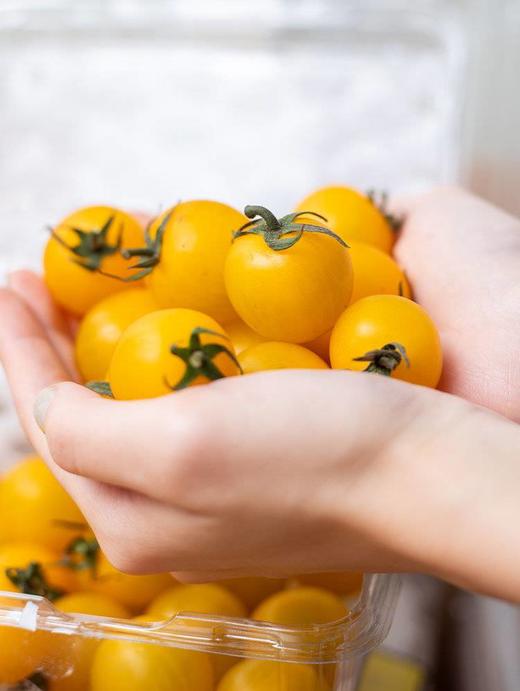 【黄色樱桃小番茄】口感正宗 酸甜多汁，果肉细腻，细腻的果肉咬一口，汁水四溢，夹杂着一丝丝酸味，回味香甜怡-CC 商品图0