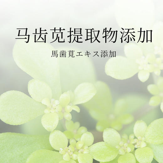 KOJIMA ECO跨境宠物用品宠物眼部湿巾泪痕湿巾清洁湿纸巾120片 商品图3