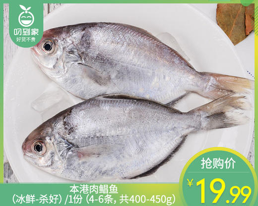 本港肉鲳鱼（冰鲜-杀好）/1份（4-6条，共400-450g） 商品图0