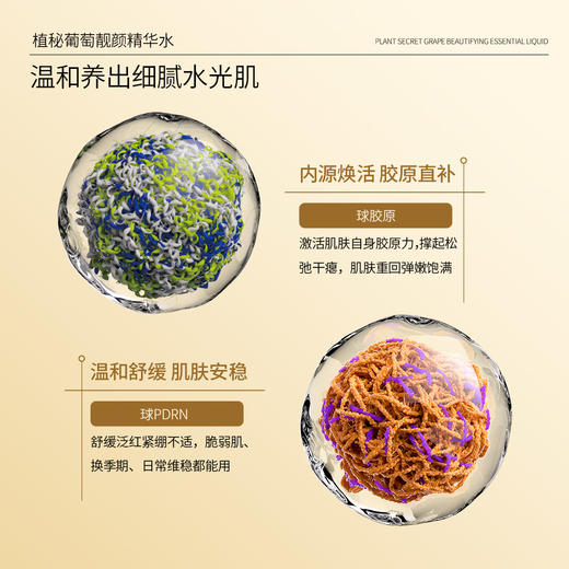 时光诗植秘葡萄靓颜精华水110ml 商品图1
