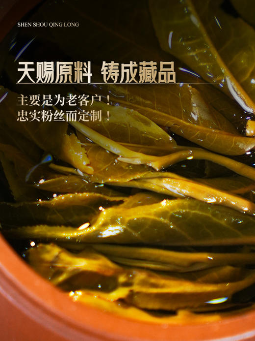 3月19日中午12点【2026年春茶预售】【神兽青龙】老班章古树占比90% 神兽事业部独立出品，超越纯料老班章的存在！357g/饼 限量60套；拍5箱发6箱 商品图2