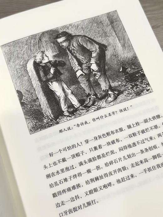 【限量珍藏版】狄更斯《远大前程》，封面进口漆布材质，书口三面鎏金+丝印图案 商品图7