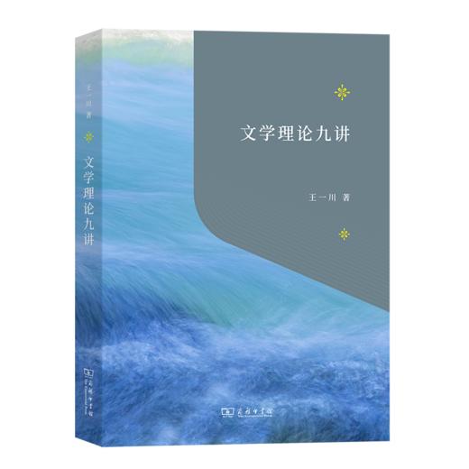 文学理论九讲 商品图0
