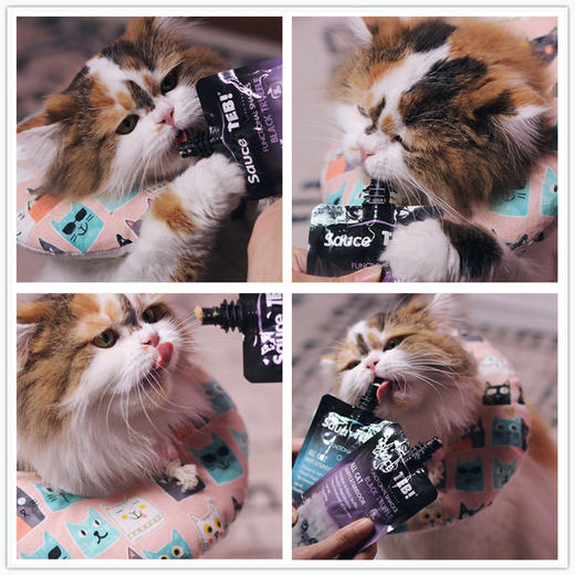TEB!汤恩贝S系列猫酱吸吸乐猫咪湿粮鱼籽鸡肉零食罐头肉粒补水90g 商品图3