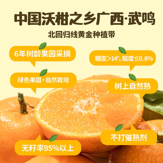 儿童天然无添加健康果蔬汁全家福（王林*1+维纳斯*1+红富士*1+柚子*1+石榴*1+沃柑*1）115ml/瓶 商品图12