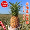 【广垦优品】广垦红星农场 | 红土金菠金钻凤梨 | 脆爽多汁 | 多规格选择 商品缩略图5