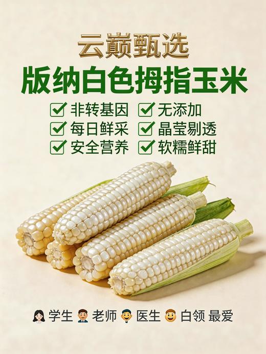云巅甄选版纳拇指玉米 商品图0