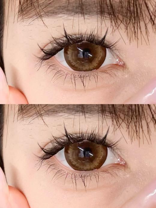 【大直径日抛】Sheepcon-超大蜜糖色-总直径14.5mm【日抛 0-1000度 不含525/575】 商品图2