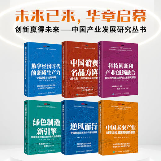 中国未来产业新赛道发展策略研究报告 信息产业数字经济新型工业化高新技术人工智能未来能源 中国经济产业经管书籍 商品图4