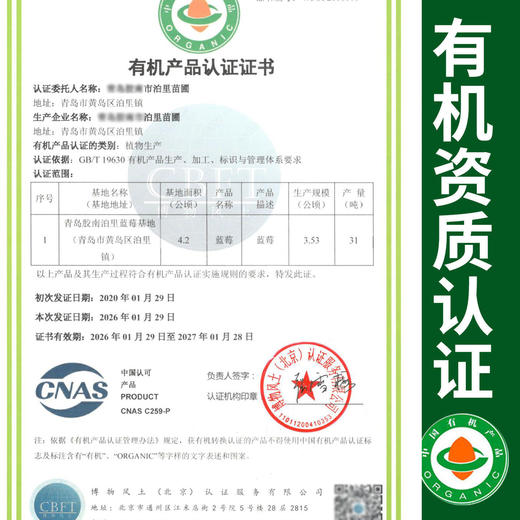 【厂商直发】青岛泊里有机蓝莓  头茬鲜果 4盒/6盒 /8盒有机认证 包邮 商品图1