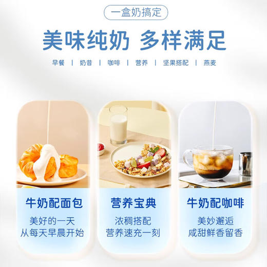 【芙拉薇赫新疆纯牛奶】一口喝出新疆好味道，源自北纬43.5°黄金牧场，奶香浓郁口感醇厚，官方正品品质放心，200ml*10盒整箱学生奶全脂生牛乳儿童早餐奶QQ 商品图3