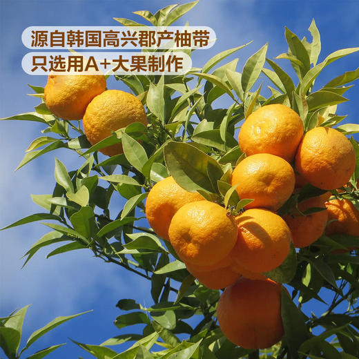 TRADERSDEAL韩国进口蜂蜜柚子茶(柚子饮品)2kg 山姆会员店商品非商品原因不支持退款 商品图4