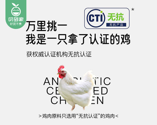 小黄象无抗鸡翅中/1包（5-6个，共260g）生产日期：26年3月 商品图4