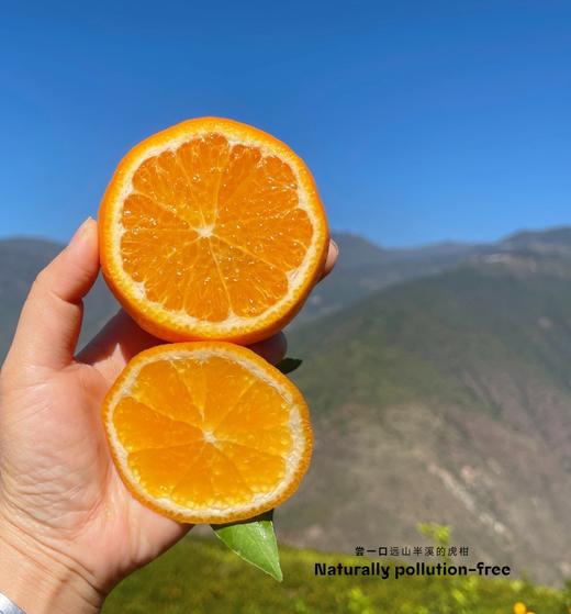【云南高原虎柑】果肉细嫩化渣，瓤皮薄如蝉翼，补充维C不二之选-CC 商品图7