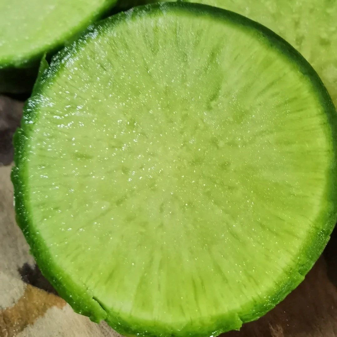 鸿翠园 有机绿萝卜