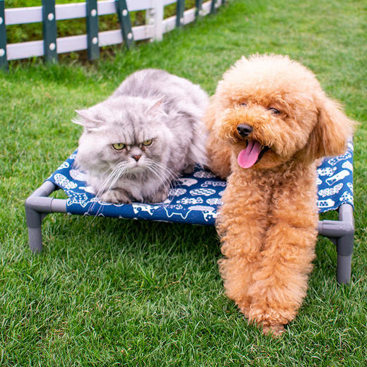 乐优派蹦蹦床猫窝可拆洗透气猫咪防潮行军床宠物夏季小型狗床狗窝 商品图3