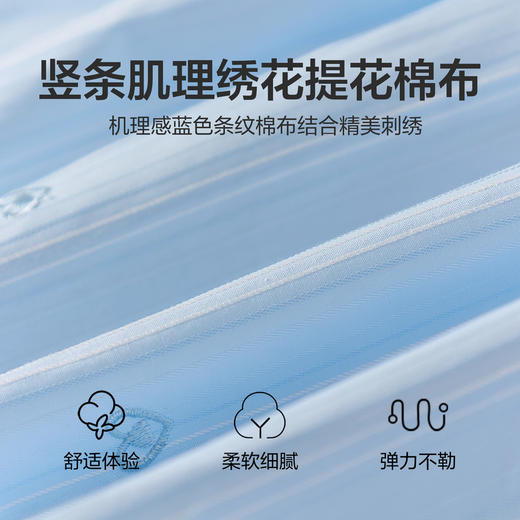 笛莎Deesha 2026年夏季新款中童女童F时尚出街肌理感蓝色条纹棉布精美刺绣泡泡袖连衣裙 商品图3