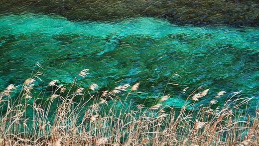 【五一华为专团】奢游成都+九寨+黄龙山水鉴赏5天4晚 商品图2