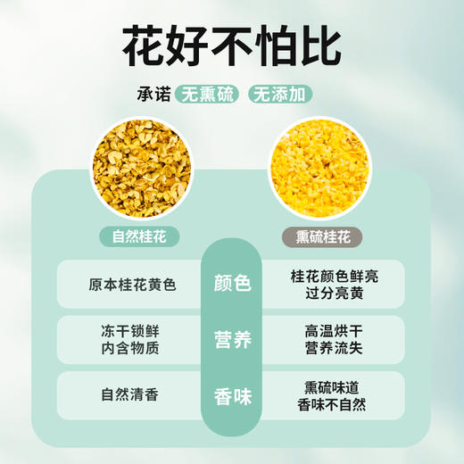 与辉同行同款【谢大高】冻干桂花茶 饱满大朵 桂花甜香交织蜜饯香 商品图2