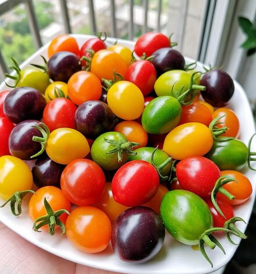 【山东 多彩小番茄】每一颗都有它独特的味道，真的是风味万种！ 商品图4