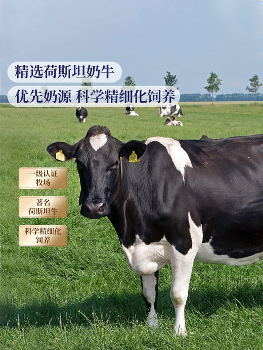 Member's Mark鲜牛奶全脂巴氏杀菌乳2L 山姆会员店商品非商品原因不支持退款 商品图3