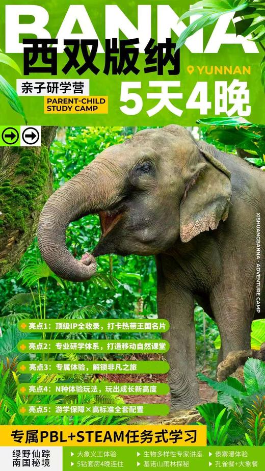 【云南】何以版纳5天4晚亲子营 商品图0