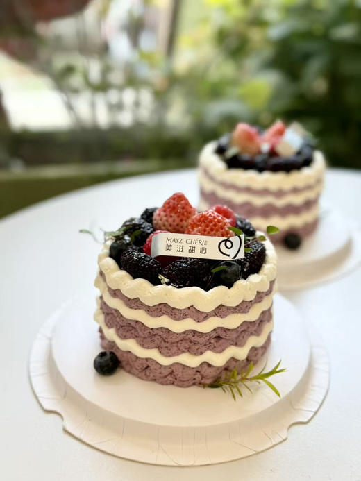 四寸桑葚莓莓 商品图0