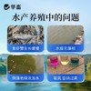 华畜肥水宝浓缩氨基酸肥水鱼虾蟹鱼塘低温肥水膏水产养殖硅藻肥水 商品缩略图1
