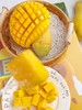 【空运】海南金煌芒5斤芒果 商品缩略图2