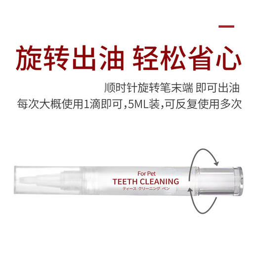 Kojima宠物洁牙笔美牙笔凝胶猫咪狗狗口腔清洁套装口臭牙垢牙结石 商品图3