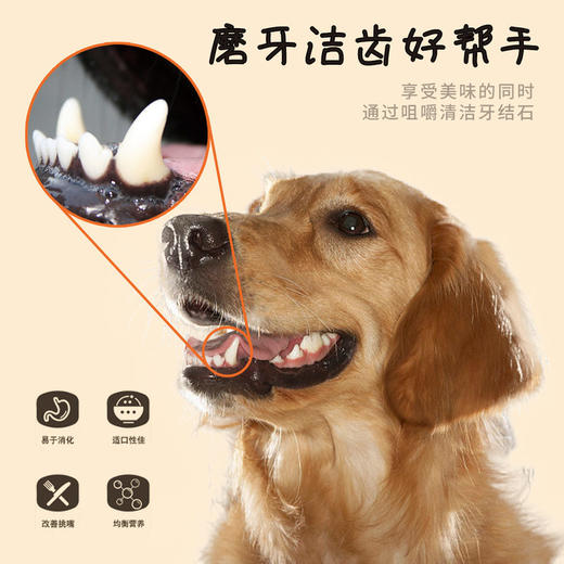 犬太狗狗壹级棒肉条零食犬用肉干成犬耐咬幼犬磨牙金毛泰迪牛肉条 商品图4