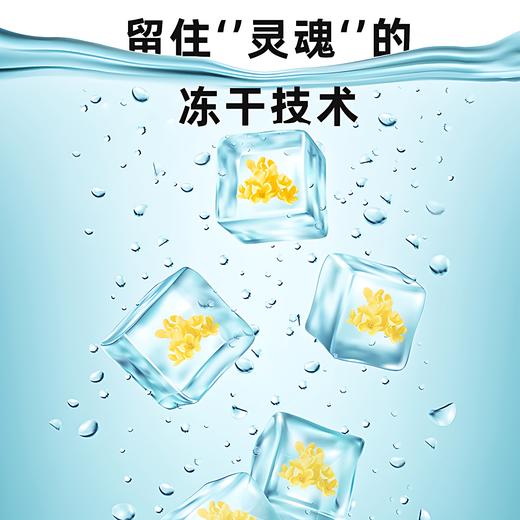 与辉同行同款【谢大高】冻干桂花茶 饱满大朵 桂花甜香交织蜜饯香 商品图3