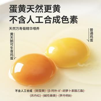 黄天鹅可生食鸡蛋 30枚/3.18斤 PLUS定制礼盒装鲜鸡蛋源头直发 无抗生素 商品图7