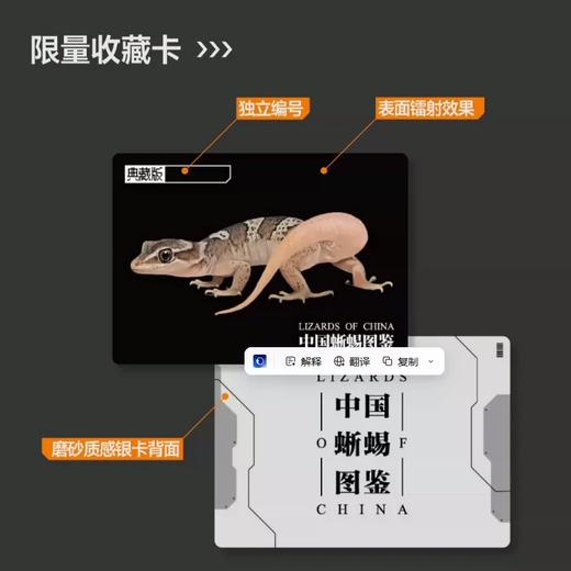 “中国蜥蜴图鉴【主题卡牌】” 爬友爬虫爱好者典藏 科普收藏卡 海峡书局【官方正版 48小时发货】 商品图2