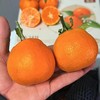 云南纯甜贵妃柑【净重约5斤】～纯甜，柑橘味特别浓，口感层次丰富，带蜂蜜的味道细品还有淡淡花香，果皮真的很薄啊，果肉清甜细腻化渣，放冰箱冰过后感觉更甜更好吃！ 商品缩略图0
