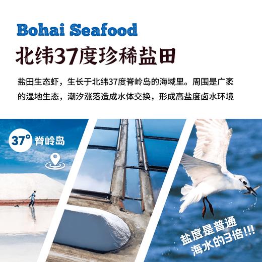 【有机盐田虾仁500g*1盒+虾滑150g*2袋】鲜活制作打火锅新鲜虾肉（夏季加冰） 商品图1