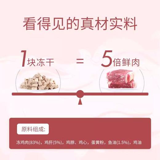 爱立方猫粮冻干猫零食牛肉鸭肉鸡肉鹌鹑冻干肉猫咪冻干猫粮试吃装 商品图2