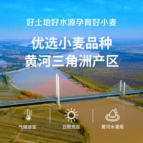 中裕面粉 多用途麦芯粉 馒头包子水饺面条中筋粉家庭通用粉2斤 /粮油调味 /面粉 /通用粉