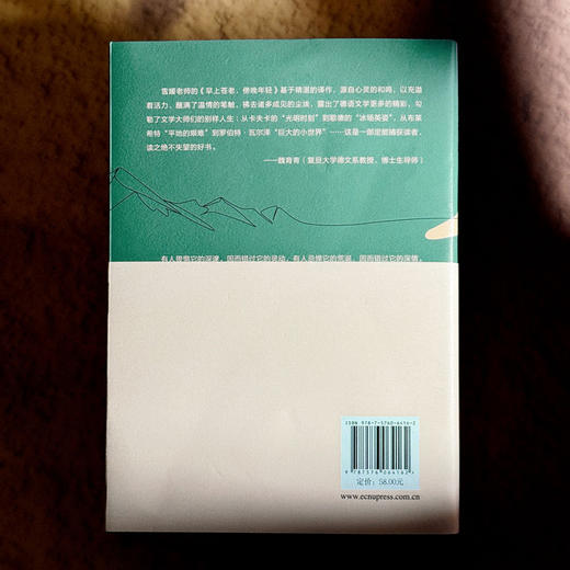 早上苍老 傍晚年轻 德语文学之镜 豆瓣2024年度译者黄雪媛首部文学随笔集 商品图2