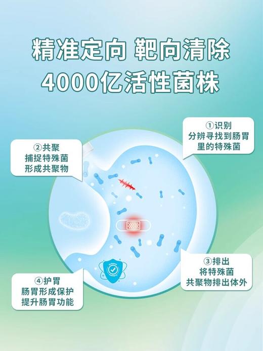 GreenNaturalPure复合益生菌胶囊90粒 商品图1