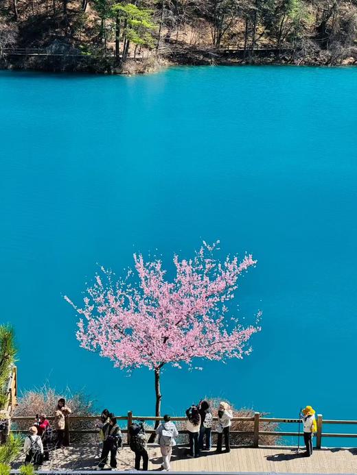 【五一华为专团】奢游成都+九寨+黄龙山水鉴赏5天4晚 商品图5