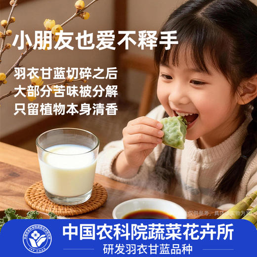 羽衣甘蓝纸皮蒸饺｜农科院研发 皮薄馅足｜0 糖低脂 素食轻食必囤 商品图1