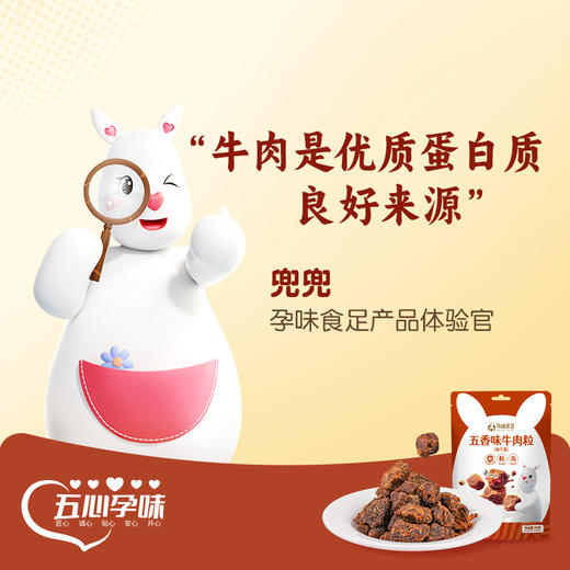 孕味食足牛肉干粒五香肉干无添加淀粉孕期解馋抗饿营养小吃零食品 商品图3