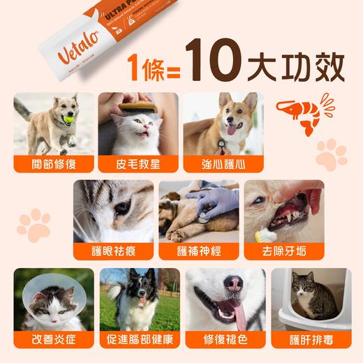 VETALO極效皇牌磷蝦粉升級版 60包 (貓狗版)（香港直邮/2周左右到货） 商品图2