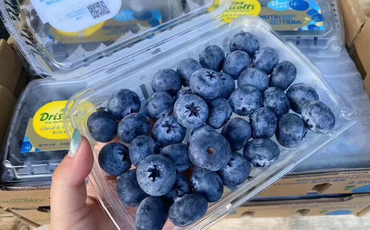 22➕怡颗莓的宝石蓝莓，颗颗饱满，一口一个巨过瘾 商品图0