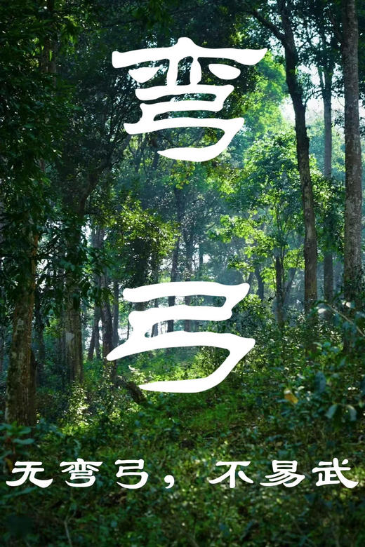 2026【弯弓高杆】 易武弯弓森林高杆头春！挑采！绕舌柔！ 商品图1