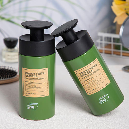 欧橘Orginese 侧柏叶丰盈防断发洗发水 蓬松控油 650ml/瓶 商品图10