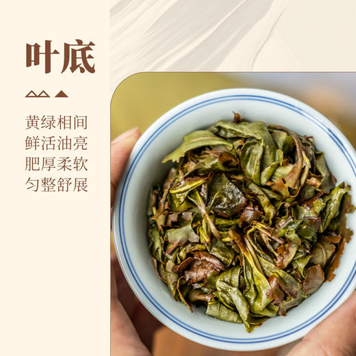 【甘活坊】2.0老枞漳平水仙纸盒100g 商品图4