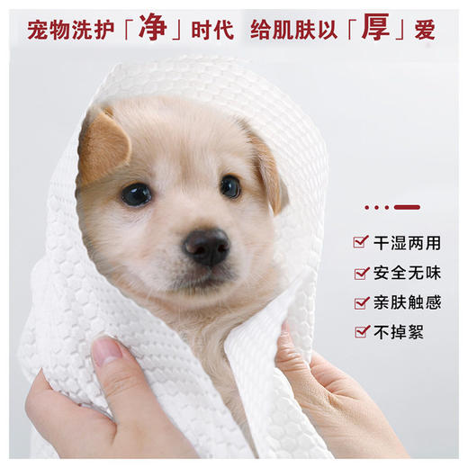 KOJIMA宠物洗澡毛巾日抛型一次性吸水毛巾12片装猫吸水浴巾狗用品 商品图1